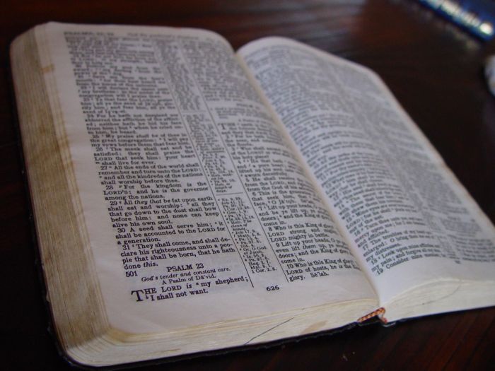 holly-bible-book