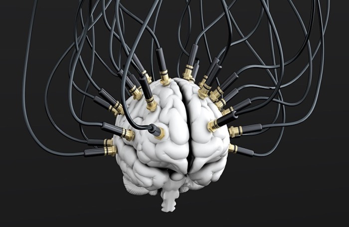 brain-cables-public-domain